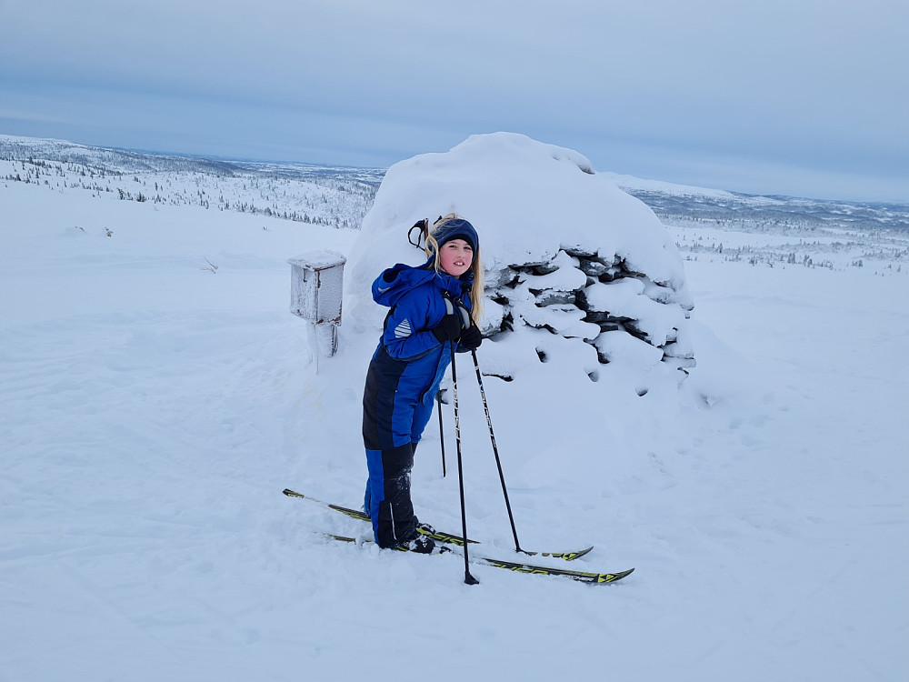 På Hærfjellet
