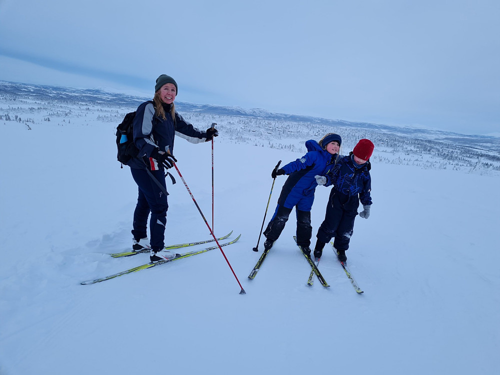 På Hærfjellet
