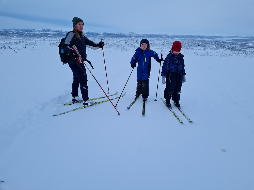 På Hærfjellet
