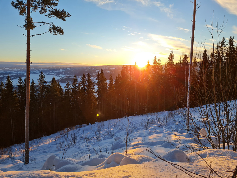 Solnedgang