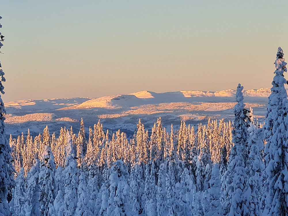 Utsikt fra Rindåsvegen, mot Skeikampen, Prestkampen, og Bånseterkampene