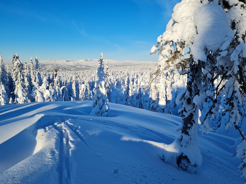 Rindåsen trigpunkt