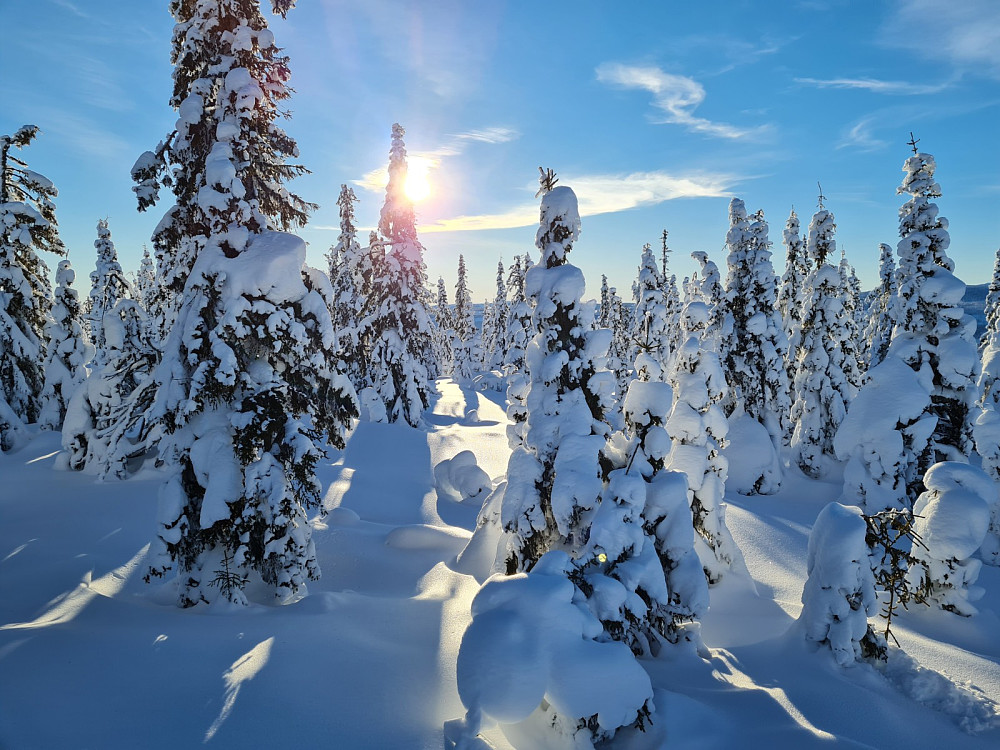 På Rindåsen trigpunkt