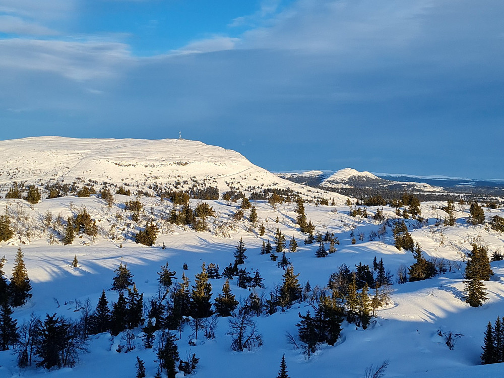 På Kyrakampen