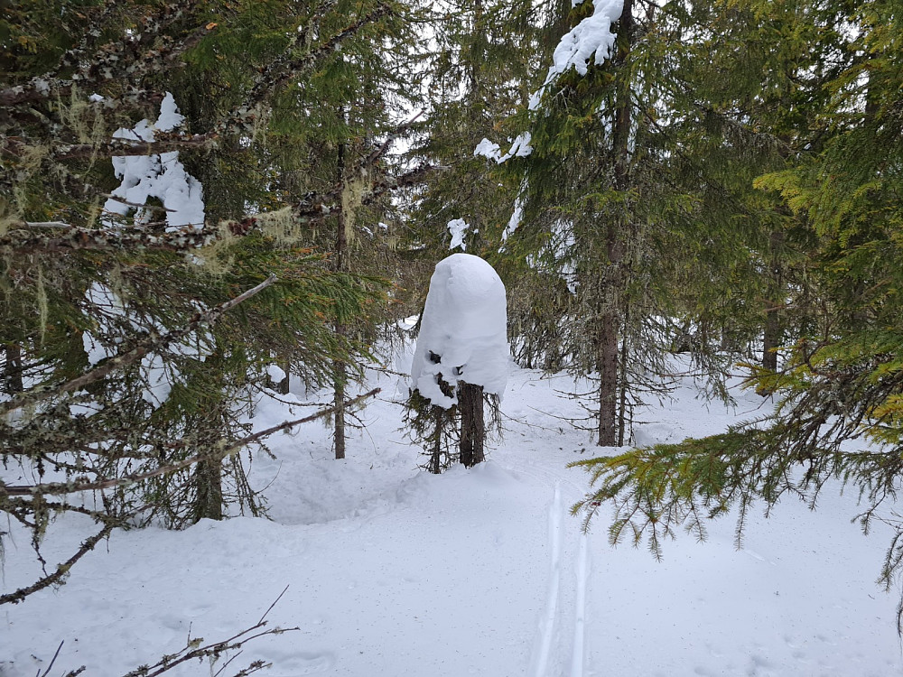 Vesleseterhøgda