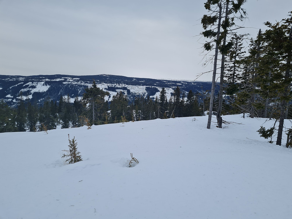 Finsrudbekkhøgda