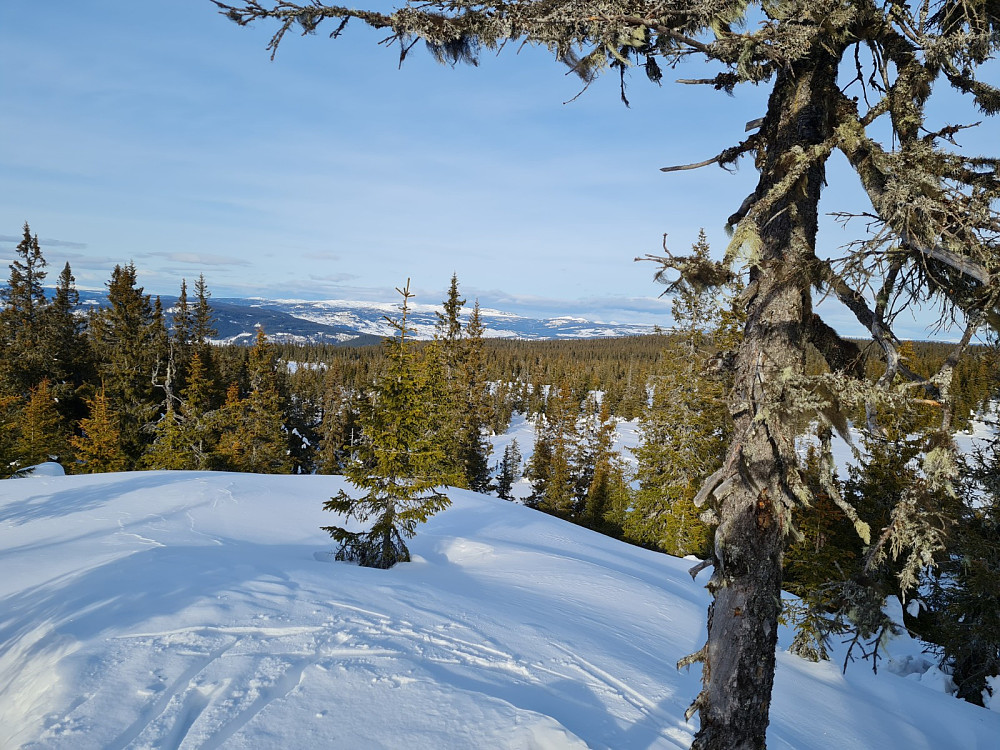 Rindåsen trigpunkt