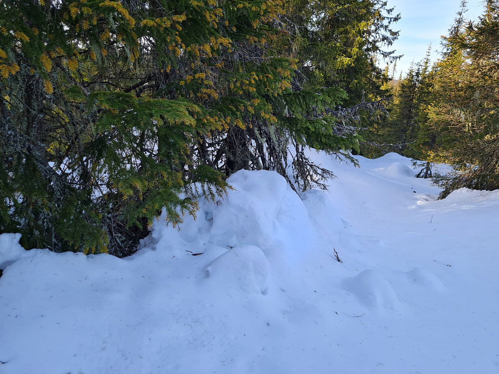 Demmtjernet punkt 784