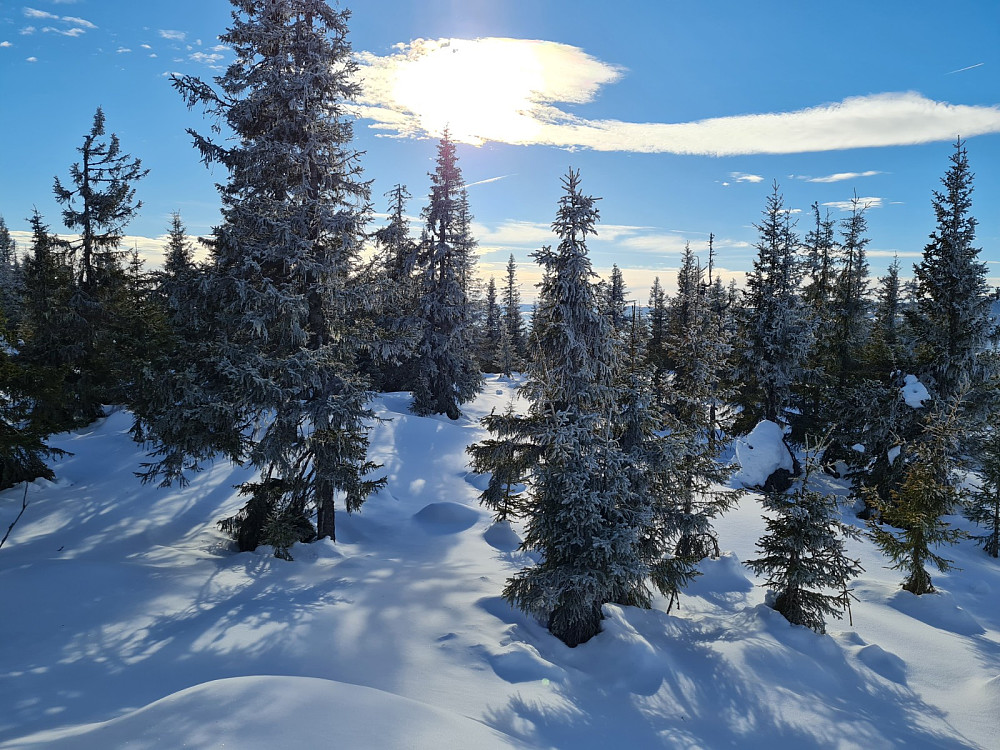Rindåsen trigpunkt