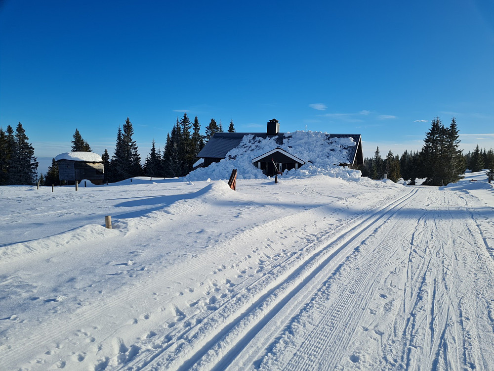 Alfsberg seter på Kinna