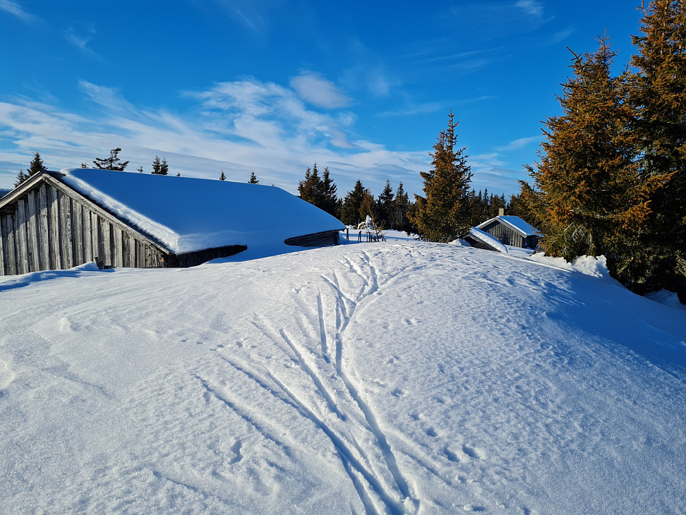 Rindåsen