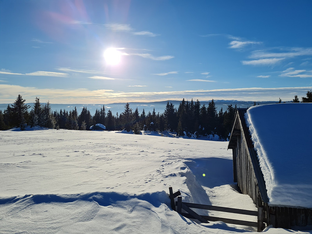 Rindåsen