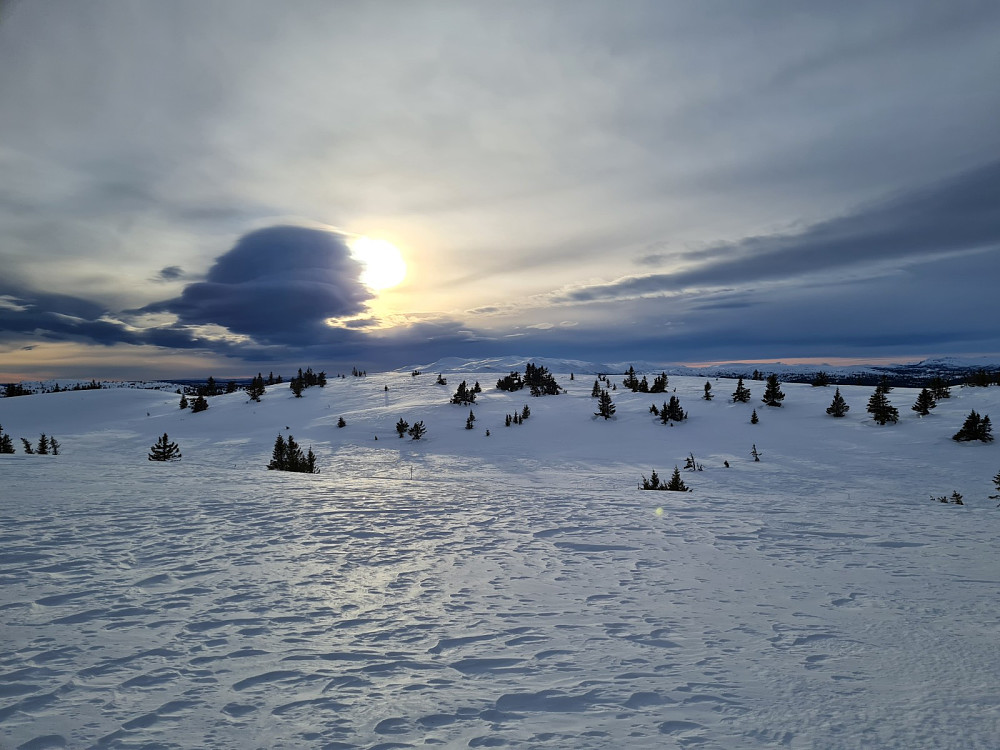 På Condruphaugen