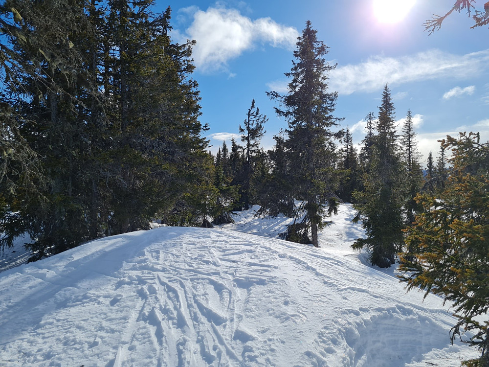 Rindåsen trigpunkt
