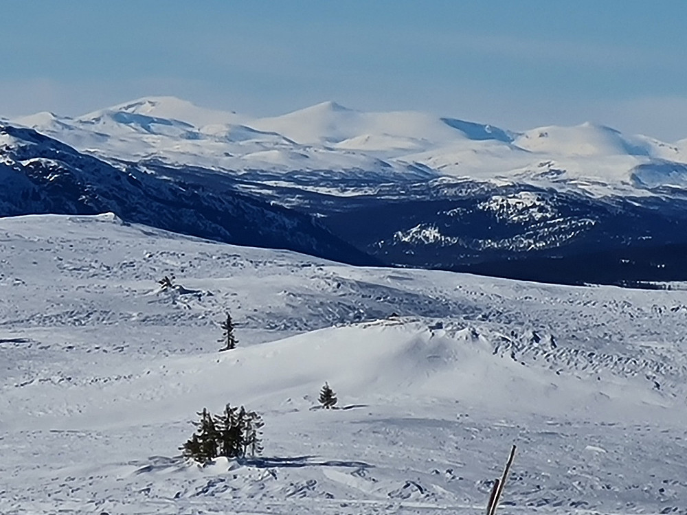 Glittertind, Nautgardstind og Stornubben fra Prestkjerringa