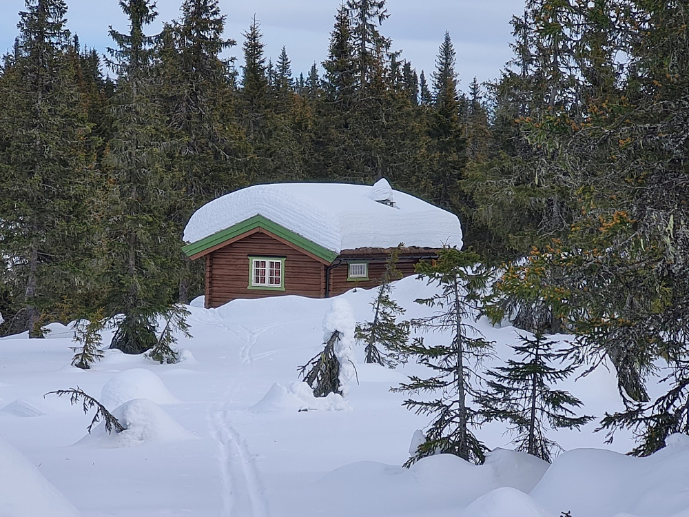 Hytta i Gutuskogen