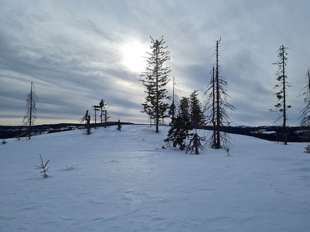 Finsrudbekkhøgda