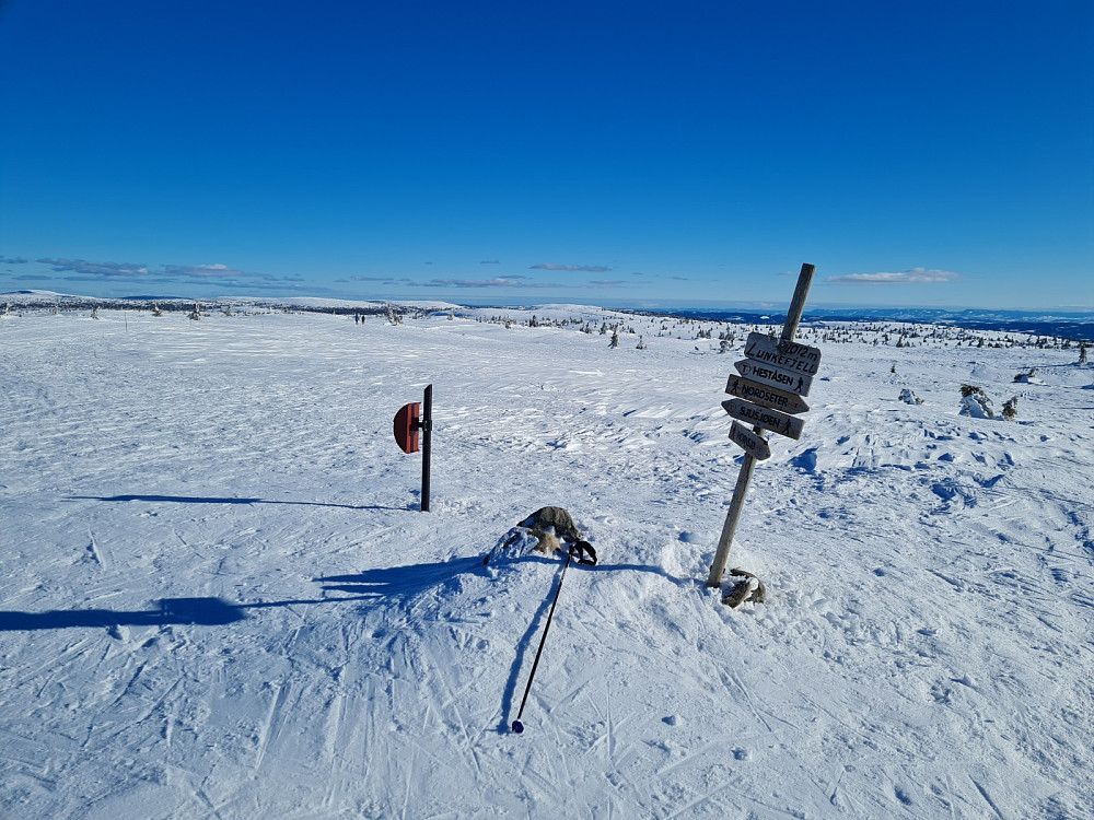 Lunkefjell