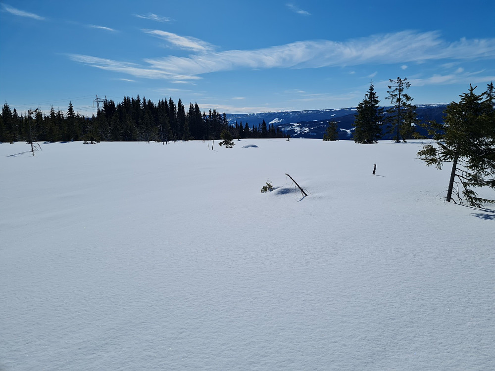 På Reitbakkhøgda