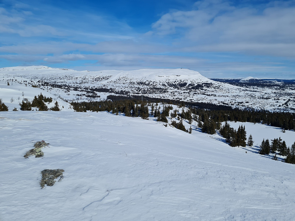 Sør for Øvre Hesttjønnet 967