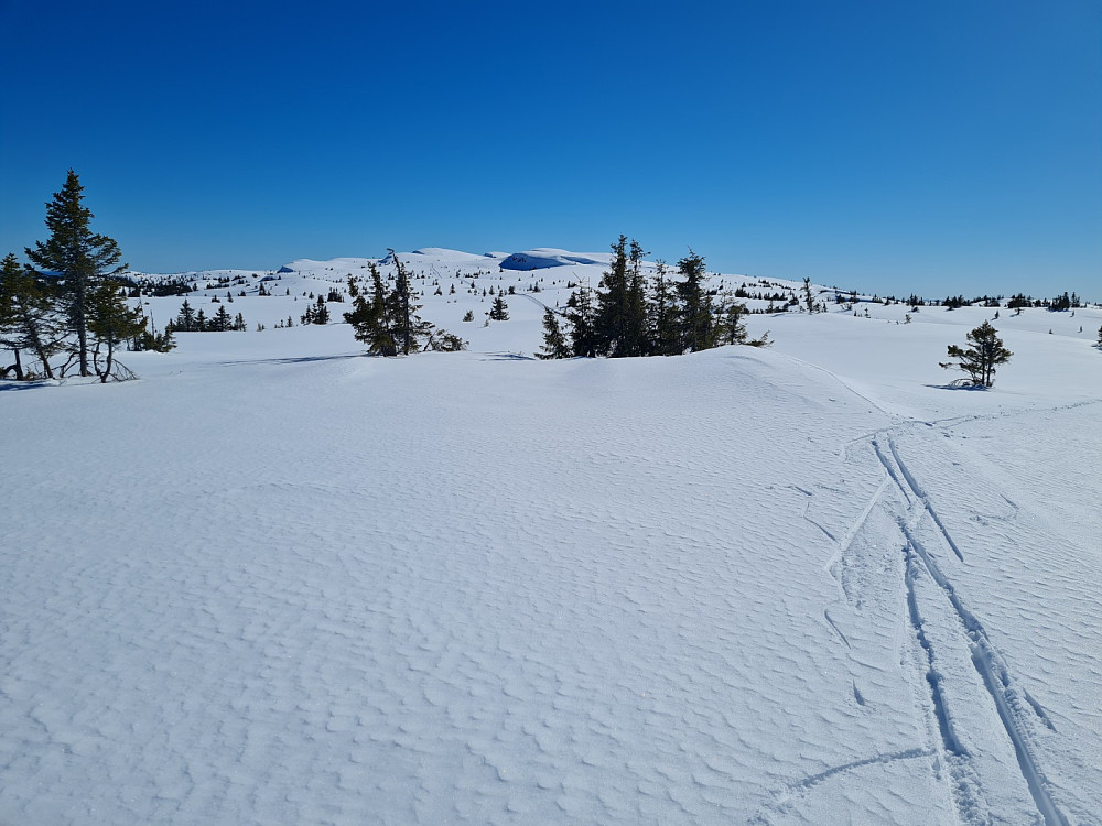 På Condruphaugen