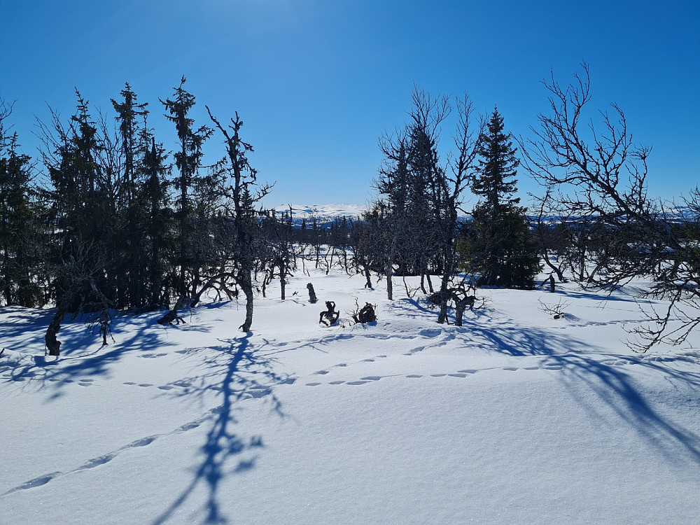 På Værskeitoppen