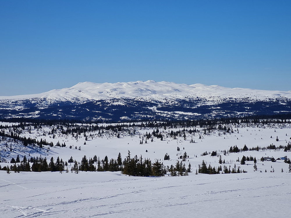Synnfjellet fra Hærfjellet