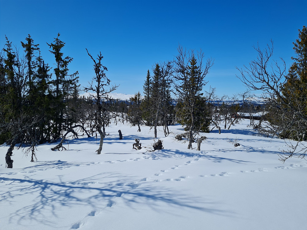 Værskeitoppen