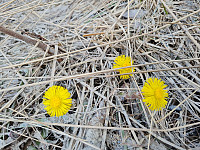 repelo_20230503_64524d01e7366.jpg
