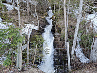 repelo_20230517_6465005f0d3a4.jpg
