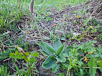 repelo_20230520_64691cb8b13df.jpg