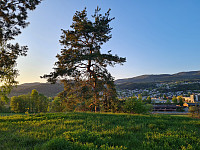 repelo_20230520_64691cb9bc090.jpg
