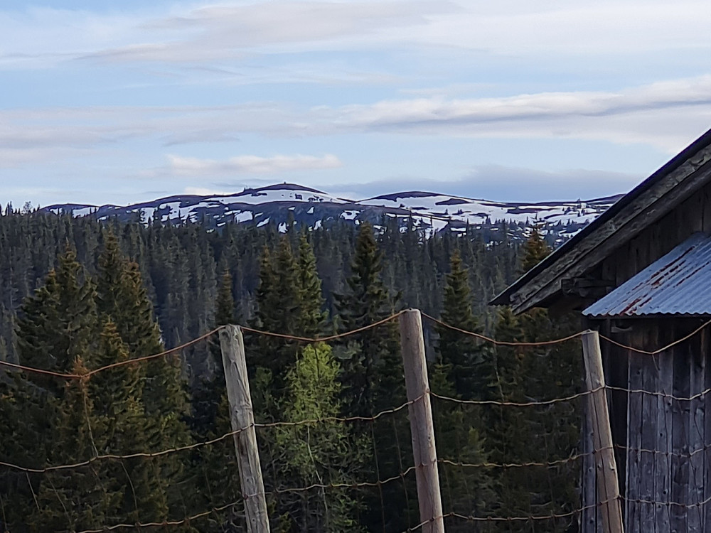 Gammelhans fra Voldsetra