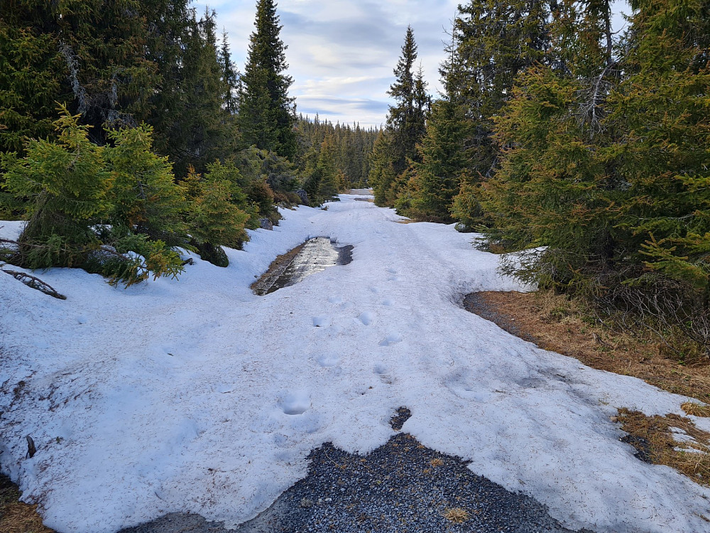 Djupådalsveien