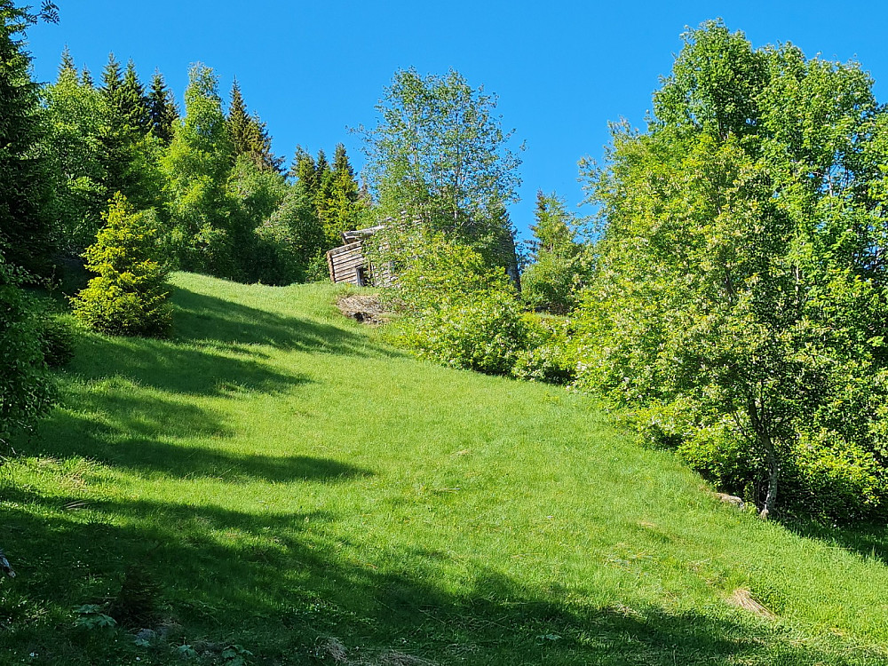 Gulliksvea