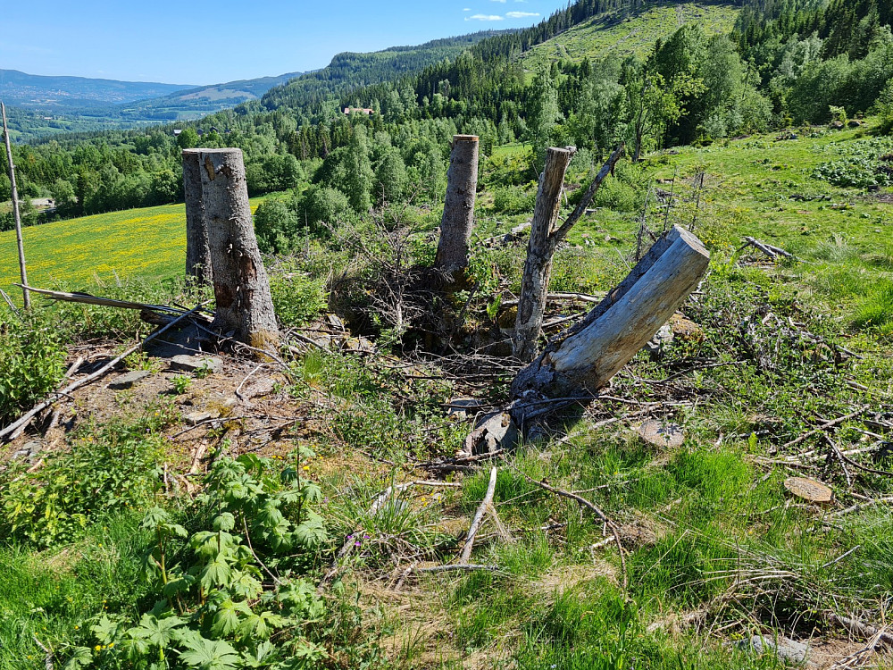 Her lå antakelig en av husmannsplassene til Håvardslia