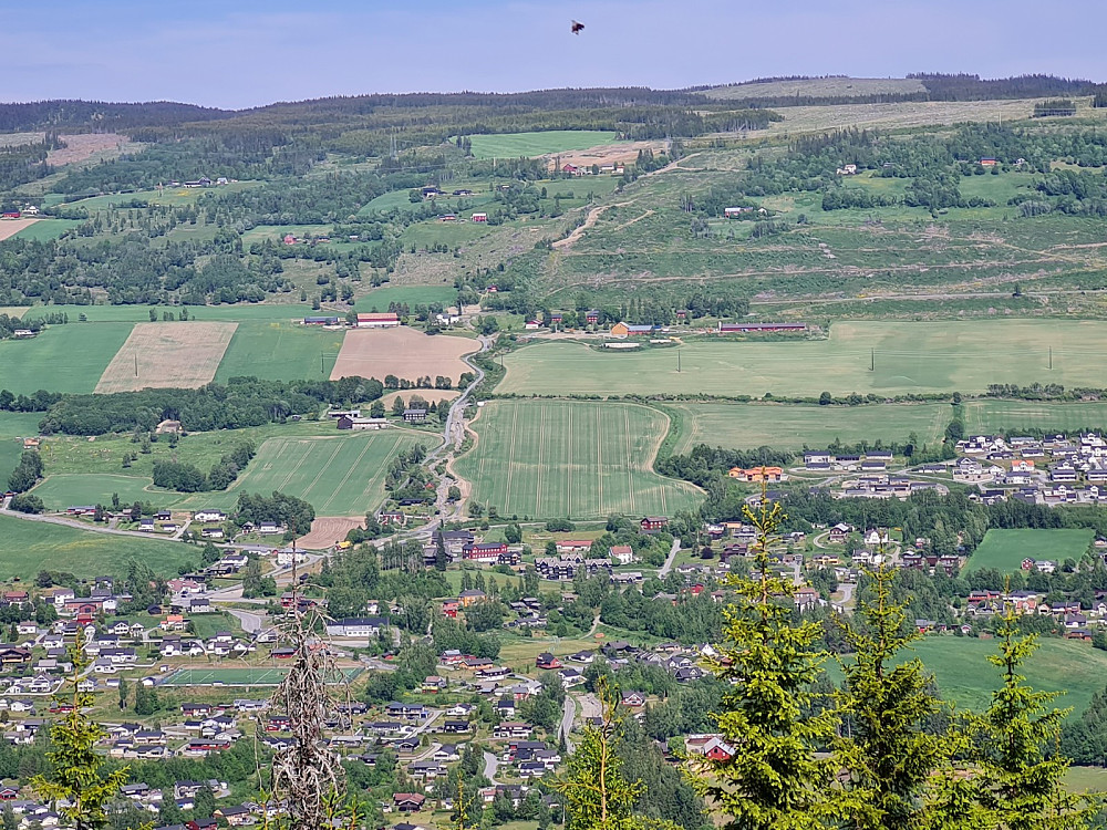 Follebu, Heggen i midten og Fougnergårdenebak