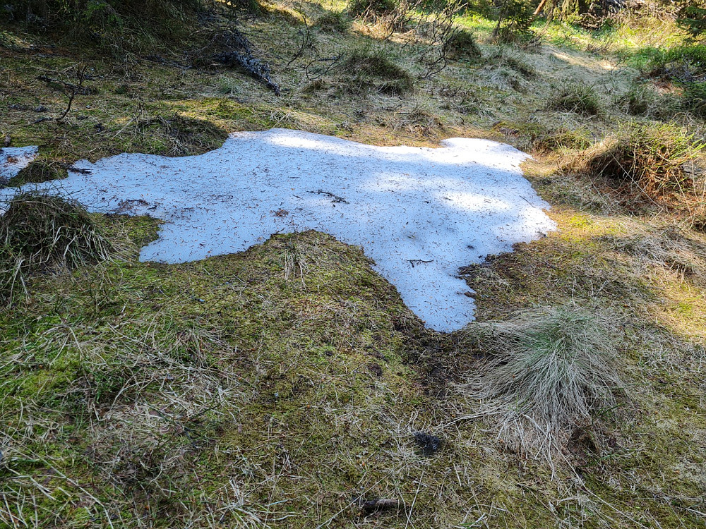 Fortsatt snøflekker