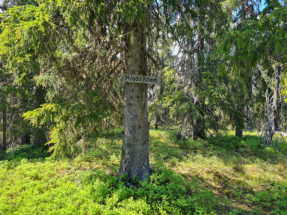 Storseterhøgda