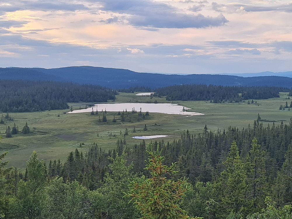 Erstjernet, sett fra Storhaugen