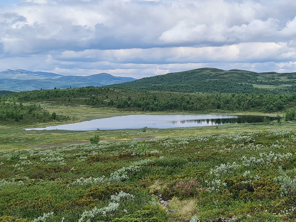 Leirbekktjernet, mot Nordre Langsua, Nonstjønnkampen og Nordre Suluhø