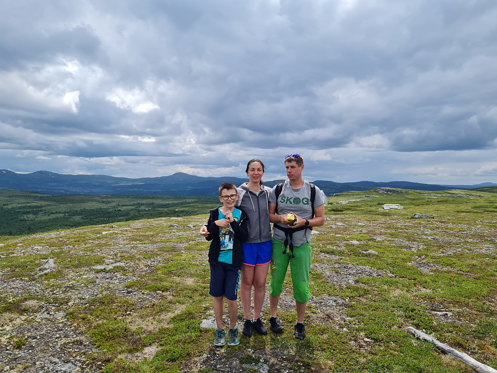 På Nordre Suluhø
