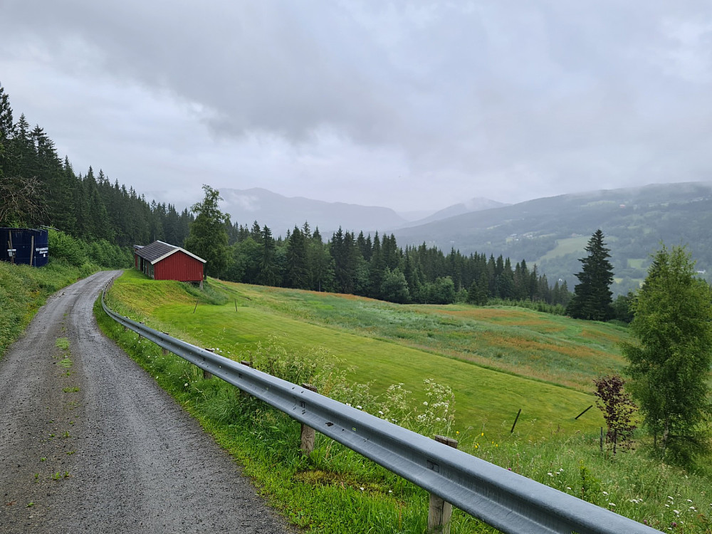 Grått på Nygaard