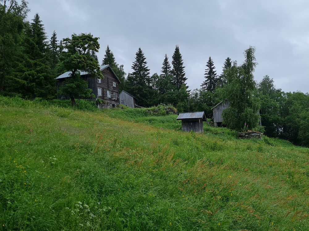 Hammershaug
