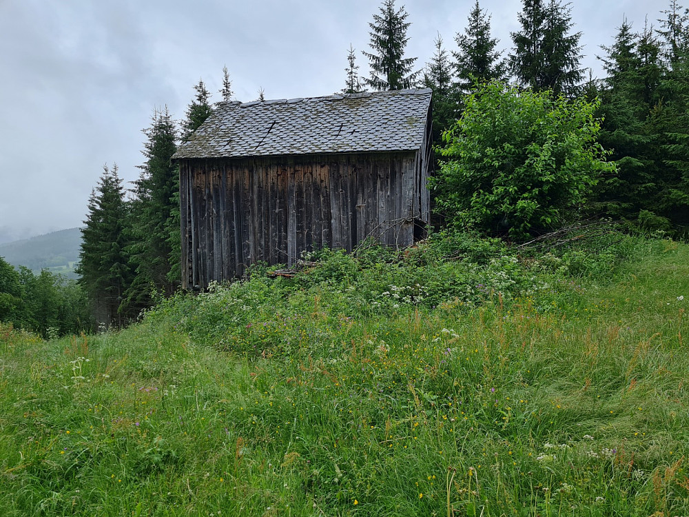 Hammershaug
