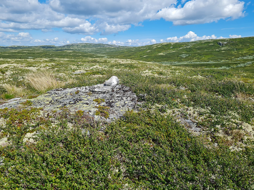 Skarethøgda