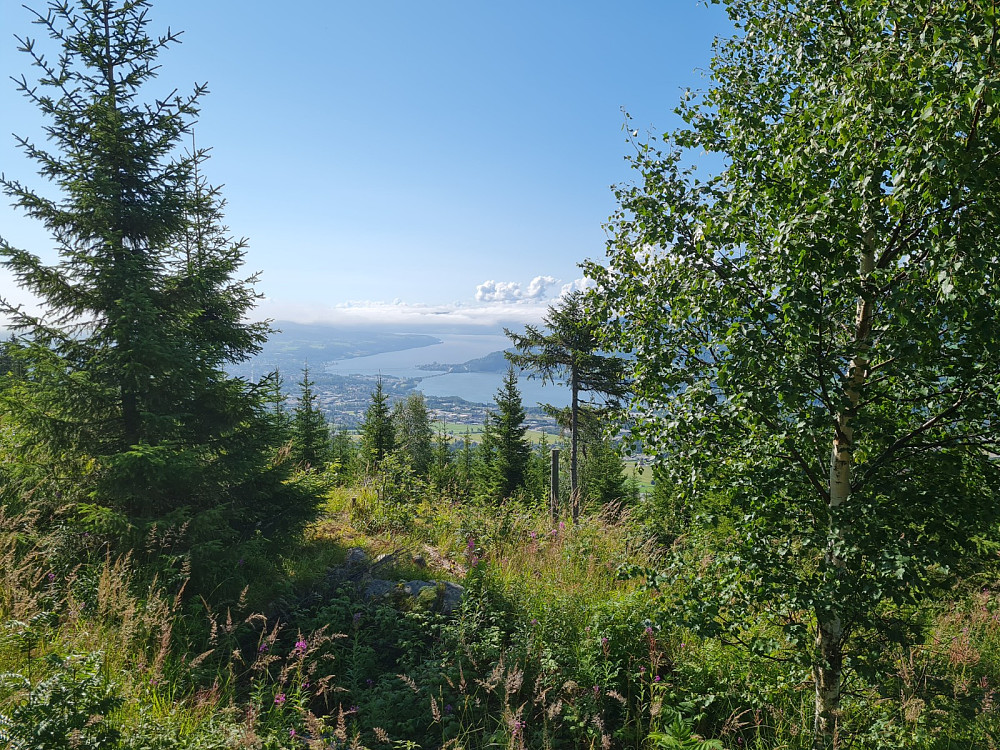 Utsikt mot Mjøsa
