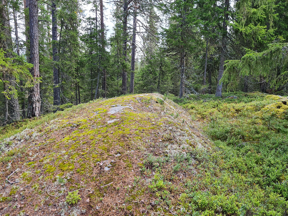 Rundhaugen
