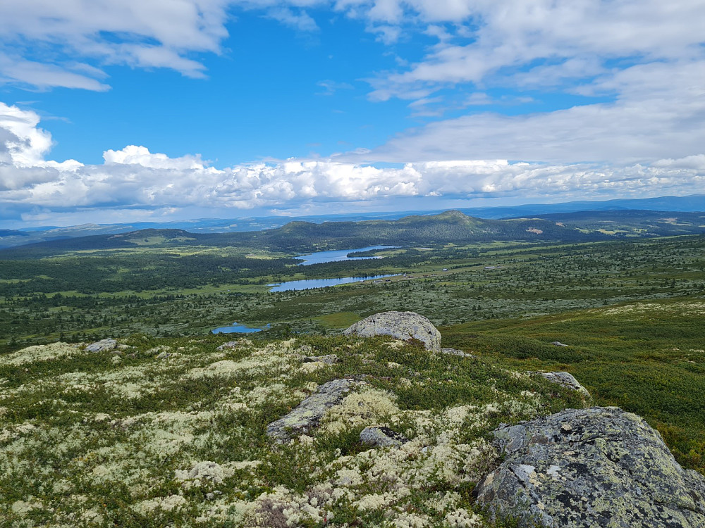 På Avlundskampen S2, mot Sjøsetervatnet, Linviksknappen, Skjenafjellet og Killiknappen