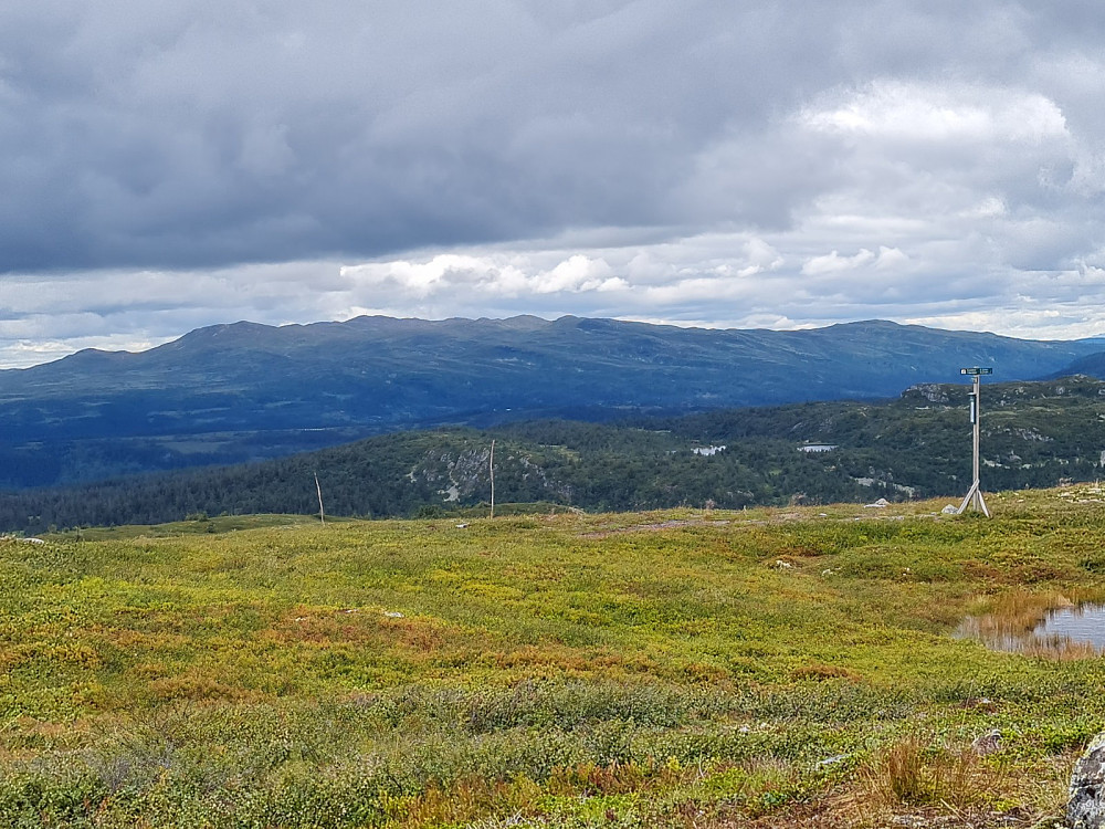 Synnfjellet fra Prestkjerringa